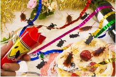 ゴキブリが飛び出すクラッカー、ヴィレヴァンが狂気のパーティーグッズ。