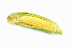 トウモロコシの&ldquo;お礼&rdquo;家贈る、数十年前に受けた恩に報いたかった。