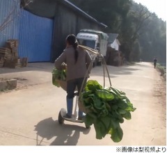 &ldquo;セグウェイ乗り&rdquo;農女、野菜担いでスイスイ