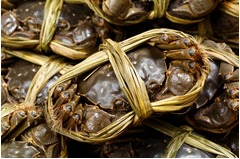 上海蟹&ldquo;爆買い&rdquo;して川に放流、何者かによる謎の行動が注目浴びる。