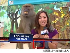 女子アナに&ldquo;エロヒヒ&rdquo;の洗礼、生中継で胸触られながらリポート。