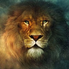 自宅侵入試みるライオンと遭遇「本物だとわかって恐怖を感じました&hellip;」。