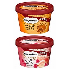 ハーゲン新商品は&ldquo;カリカリ&rdquo;、食感が特長のカラメルチップ入り。