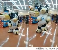 ふなっしー級の海外キレキレ牛、米国で「マンチャス」の人気に火。