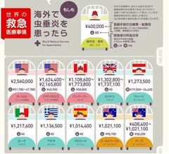 &ldquo;海外で盲腸&rdquo;いくらかかる？ トップはハワイ・ホノルルの256万円。