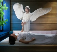 &ldquo;死後の世界&rdquo;証明なら多額報酬、億万長者が呼びかけ