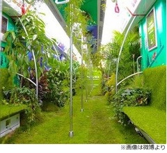 植物で覆われた&ldquo;森の地下鉄&rdquo;が話題に