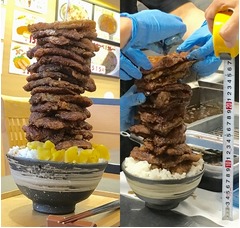 カツ18枚積み上げたメガ盛りタワーソースカツ丼