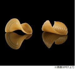 水分が加わると&ldquo;立体&rdquo;になるパスタ