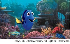 「ニモ」続編の初映像が解禁、忘れんぼうドリーが思い出したことは&hellip;。