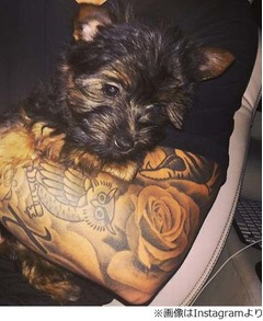 J・ビーバーが新しい犬を飼う、腕の中でくつろぐ写真をInstagramで公開。