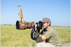 【写真】絶対に撮れないミーアキャット、望遠レンズの上にちょこん。