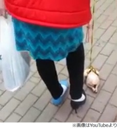 &ldquo;冷凍チキン&rdquo;散歩させる女性、リード付けてバス停にいる姿が話題に。