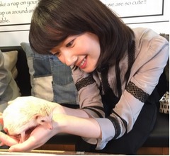 波瑠、主演ドラマで「ボロボロになるつもり」