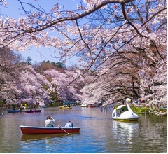 &ldquo;住みたい街&rdquo;吉祥寺が1位の座を奪還