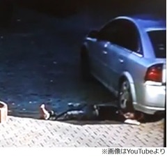 顔轢かれるも軽傷の酔っ払い、警察「死なずにラッキー」と呆れ模様。