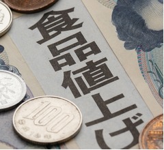 2025年4月の&ldquo;食品値上げ&rdquo;は4,225品目、分野別では「調味料」が最多