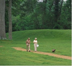 1日わずか4000歩で早期死亡リスク減、推奨&ldquo;1万歩&rdquo;よりずっと少なくても足りる