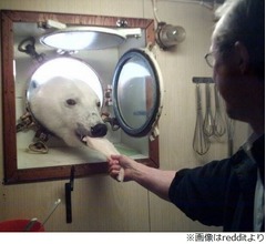 ワッフルのにおいに誘われた？&ldquo;珍客&rdquo;現る