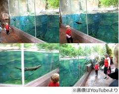 男の子とカワウソが&ldquo;追いかけっこ&rdquo;、かわいい動画にほのぼのコメント。