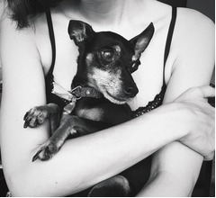 高岡早紀、愛犬の死を報告「優しいおばあちゃんでした」