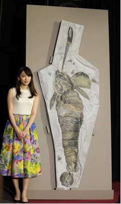 新垣結衣「生物にとても興味」、NHKスペシャルナビゲーターに就任。