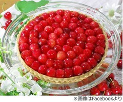 キルフェボンが佐藤錦のタルト、&ldquo;サクランボの王様&rdquo;がてんこ盛り。