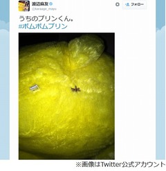 まゆゆ&ldquo;尻の穴&rdquo;写真ツイート、「みんな落ち着いて」と呼びかけ。