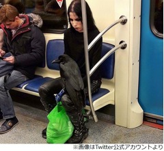 電車内の&ldquo;膝にカラスのせたゴス女性&rdquo;に騒然