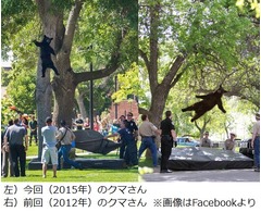 &ldquo;今季最高のクマ写真&rdquo;が人気、大学に出現「フォーリン・ベアー2.0」。