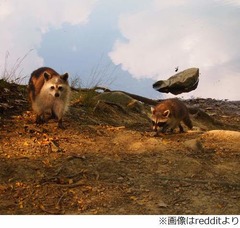 【写真】&ldquo;空中に浮かぶ岩&rdquo;を偶然激写