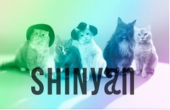 5匹のにゃんこがSHINeeコピー、&ldquo;SHINyan&rdquo;デビューでSNSやブログも。