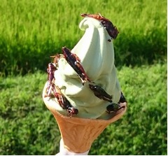 いなごのソフトクリーム、50円で5匹増量もOK