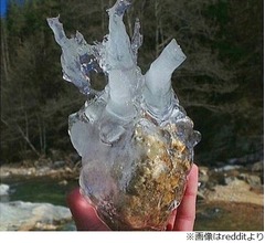 本物の&ldquo;氷のような心&rdquo;見つけたよ
