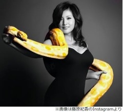 藤原紀香&ldquo;事務所破産&rdquo;で独立、ケイダッシュと業務提携発表