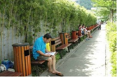 【写真】200mの歩道にゴミ箱100個設置、市民の&ldquo;ゴミ捨てマナー&rdquo;向上が目的。