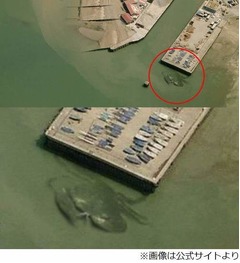 港に現れた幅15m以上の巨大蟹、姿を捉えた？ 空撮の写真が話題に。