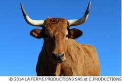 究極の肉ドキュメンタリー上陸、&ldquo;世界一のステーキ&rdquo;ベスト10決める旅。