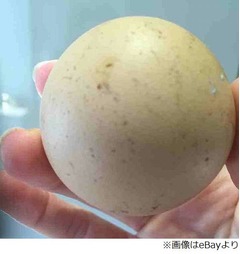 &ldquo;完全に球&rdquo;の鶏卵産まれ驚く、オークション出品したら8.8万円に。