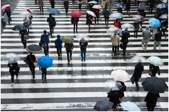 今年の梅雨入り遅めの見込み、エルニーニョ影響で季節の進みが遅く。