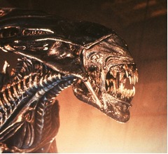 &ldquo;放射能汚染されたエビ&rdquo;を食べた人間はエイリアンに？ 米上院議員が発言