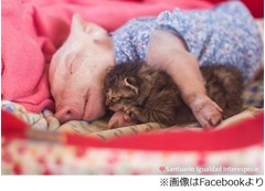 子ブタと子ネコの&ldquo;甘い生活&rdquo;、保護施設で会ったその日から仲良し。