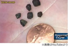 男の子の頭に&ldquo;隕石&rdquo;直撃か、詳細な分析が必要も父親は確信。