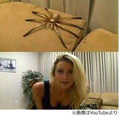 金髪美女のお茶目ないたずら、くつろぐ彼氏の目の前に巨大クモが&hellip;&hellip;。
