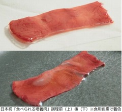 日清食品、日本初&ldquo;食べられる培養肉&rdquo;作成に成功