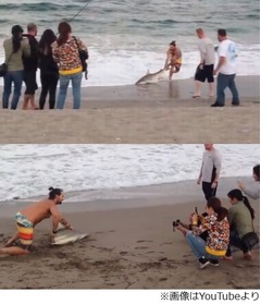 サメと無理矢理写真撮り大炎上、遊び半分で砂浜に引き揚げる男たち。