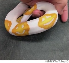 執念が生んだ&ldquo;ニコちゃんマーク&rdquo;柄のヘビ