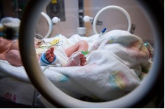 &ldquo;母の声&rdquo;で早産児の健康改善、心拍音と共に聴かせると心肺事故減。