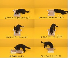 黒猫の箱組み立て&ldquo;おしい&rdquo;集、クロネコヤマト大人気動画のNGたっぷり。