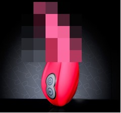 &ldquo;大人のおもちゃ&rdquo;原因で追突、ドライブレコーダー映像に被害側も笑う。